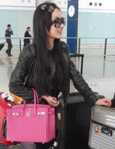 6088 Hermes ������ ����������� HermesŮ�� Hermes Birkin ����� 30Birkin