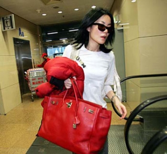 6099 Hermes Birkin ����� Hermes��֦�� 40cm ����� Hermes 40 Birkin ��ɫ����
