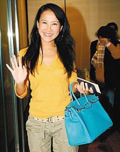 6089 Hermes Birkin ����� �����˾�����֦�� ����� 35 HermesŮ�� ǳ������