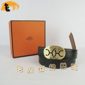 321 ���¿� �������п�Ƥ�� HermesƤ�� Hermes���� �����ƺ���� ���3cm