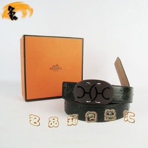 321 ���¿� �������п�Ƥ�� HermesƤ�� Hermes���� �����ƺ���ǳ�� �ȿ�3cm