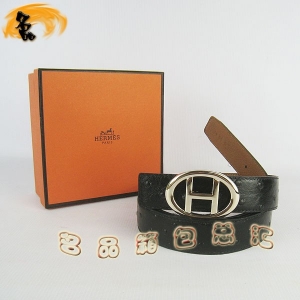 484 ���¿� �������п�Ƥ�� HermesƤ�� Hermes���� �����ƺ���ǳ�� ���3cm