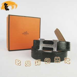 486 ���¿� �������п�Ƥ�� HermesƤ�� Hermes���� �����ƺ���ǳ�� ����3cm