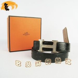 487 ���¿� �������п�Ƥ�� HermesƤ�� Hermes���� �������ǳ�� ǳ���3cm