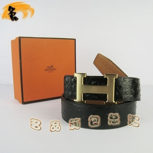 448 ���¿� HermesƤ�� Hermes���� �������п�Ƥ�� �����ƺ���ǳ�� ���3.8cm
