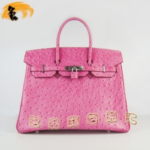 6089 Hermes����� Hermes Birkin ����� ������Ů�� �����ƣ�35�� õ��ɫ����