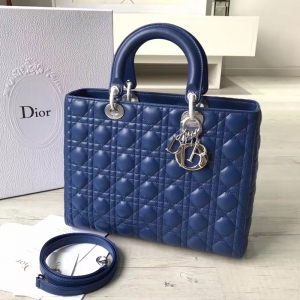 Dior�ϰ� Lady Dior��������� �߸��� ��ɫ��Ƥ ����