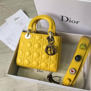 Dior LADY DIORС��Ƥ����� 2017�¿�ϰ»��´����� ��ɫ