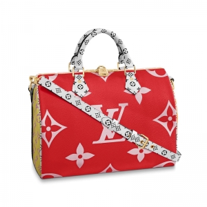 M44573 LV SPEEDY BANDOULIERE 30 �ִ� 2019�¿� LV��ͷ�� ��ɫ