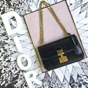 M5818 Dior AddictŮ�� С��Ƥ �ٸ��� ����ʽ �ϰ������ ����ɫ