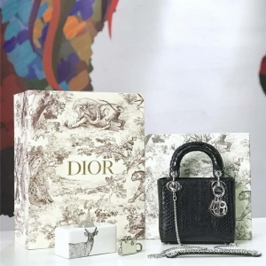 M673 Dior�ϰ� Lady Dior ����ϰ´����� ��Ƥ Dior������ ��ɫ����
