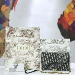 M5620 Dior ObliqueŮ�� �Ứ���� �ϰ������� Dior���ð� �Һ�ɫ