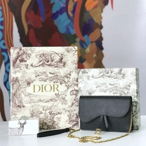 M5620 Dior Saddleϵ��Ů�� woc���� СţƤ �ϰ������� Dior���ð� ��ɫ
