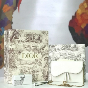 M5620 Dior Saddleϵ��Ů�� woc���� СţƤ �ϰ������� Dior���ð� ��ɫ