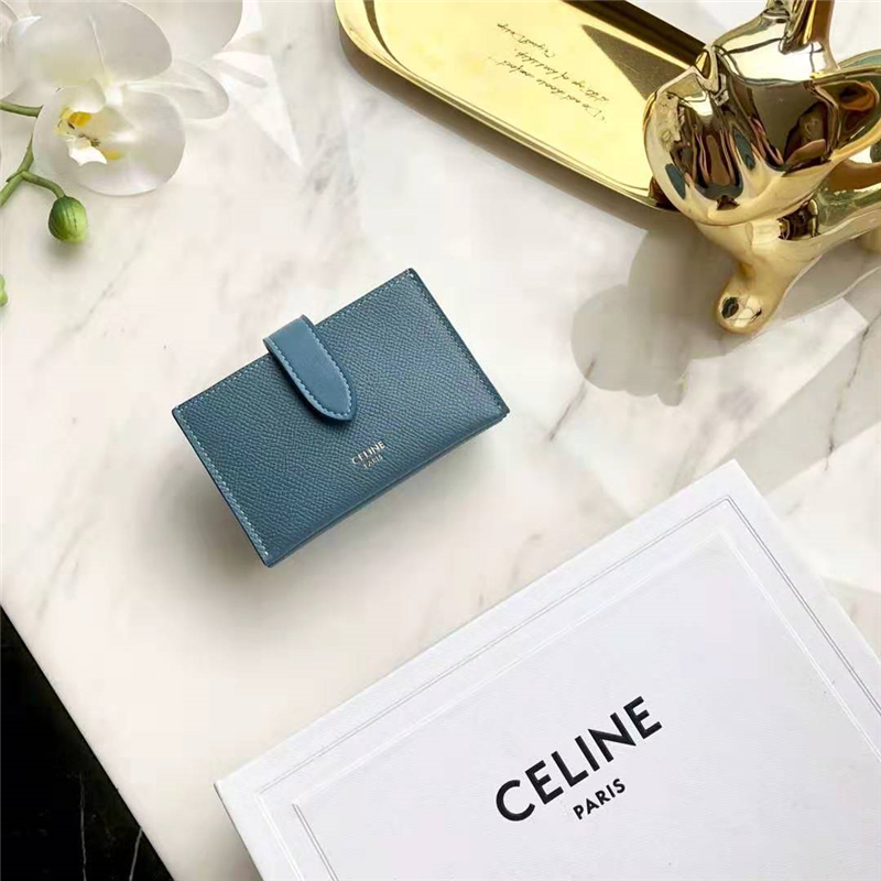 10B693 Celine���տ��� ����СţƤ Celine�����޿��� ������