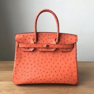 Hermes Birkin 25 �����˲���� ���ֹ����ư� ����Ƥ ��ɫ