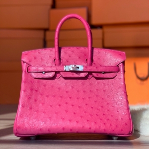 Hermes Birkin 25 �����˲���� ���ֹ����ư� ����Ƥ õ��ɫ