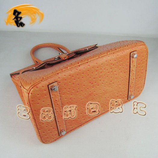 6089 �������¿�������Ů�� Hermes Birkin ����� Hermes����� ��ɫ����