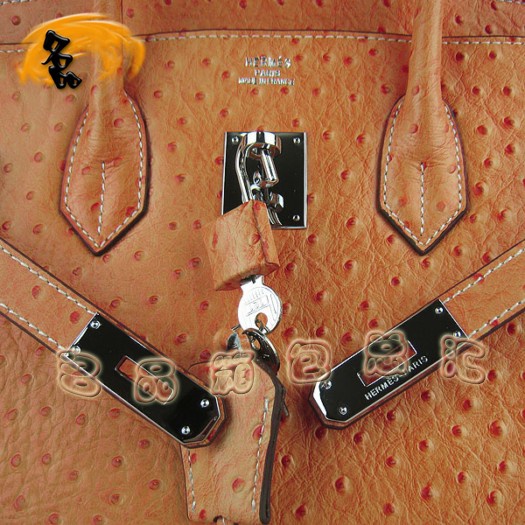 6089 �������¿�������Ů�� Hermes Birkin ����� Hermes����� ��ɫ����