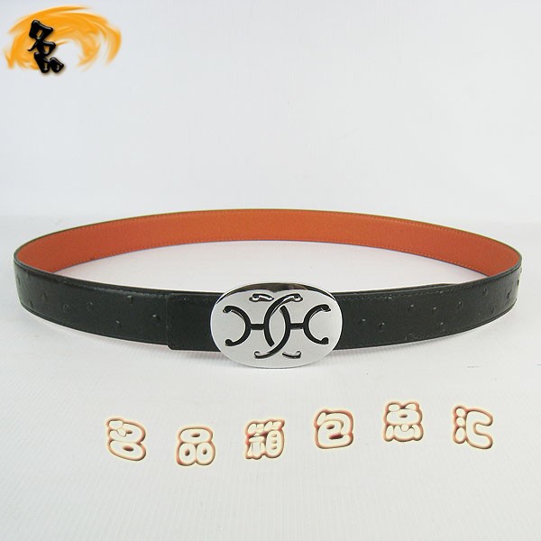 321 ���¿� �������п�Ƥ�� HermesƤ�� Hermes���� �����ƺ���� ����3cm