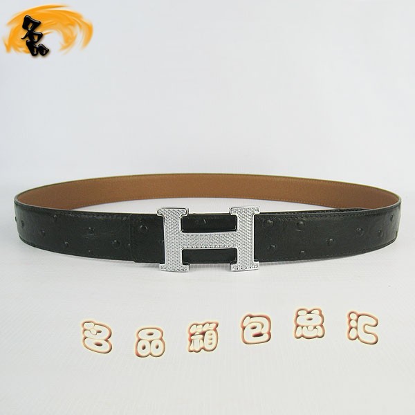 405 ���¿� �������п�Ƥ�� HermesƤ�� Hermes���� �����ƺ���ǳ�� ����3cm