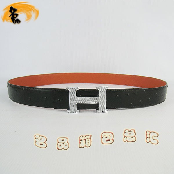 405 ���¿� �������п�Ƥ�� HermesƤ�� Hermes���� �����ƺ���� ����3cm
