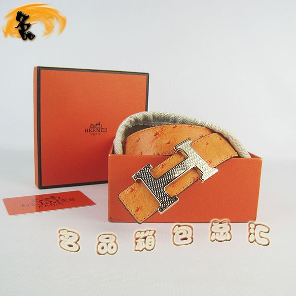 487 ���¿� ������Ů��Ƥ�� HermesƤ�� Hermes���� �����Ƴ����Һ� ���3cm