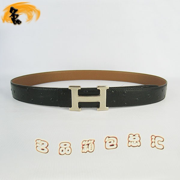 487 ���¿� �������п�Ƥ�� HermesƤ�� Hermes���� �������ǳ�� ǳ���3cm