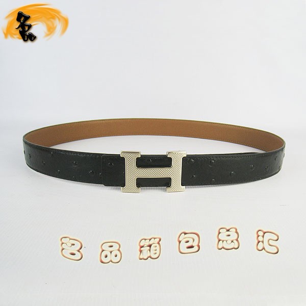 487 ���¿� �������п�Ƥ�� HermesƤ�� Hermes���� �������ǳ�� ���3cm