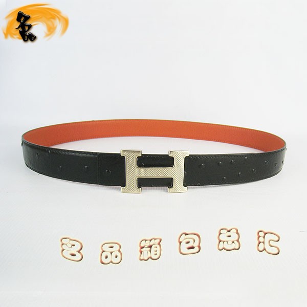 487 ���¿� �������п�Ƥ�� HermesƤ�� Hermes���� �����Ƴ���� ǳ���3cm