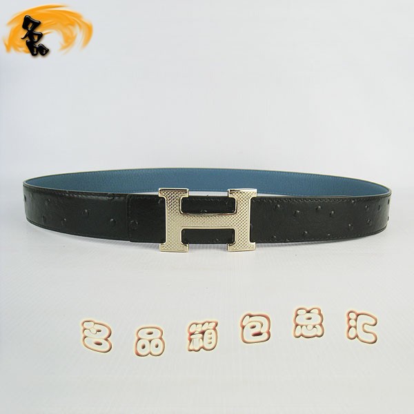 487 ���¿� �������п�Ƥ�� HermesƤ�� Hermes���� �����ƺ������� ǳ���3cm
