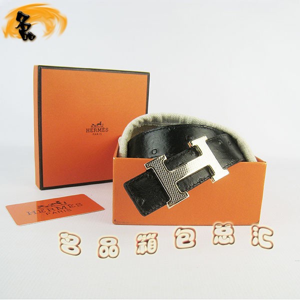 487 ���¿� �������п�Ƥ�� HermesƤ�� Hermes���� �����ƺ������� ǳ���3cm