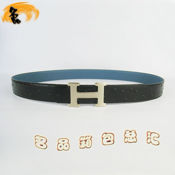 487 ���¿� �������п�Ƥ�� HermesƤ�� Hermes���� ������������� ǳ���3cm